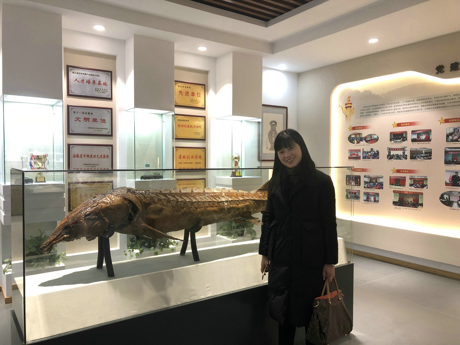 可按栏目继续浏览相关条目
